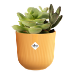 jazz rund mini 9cm amber gelb